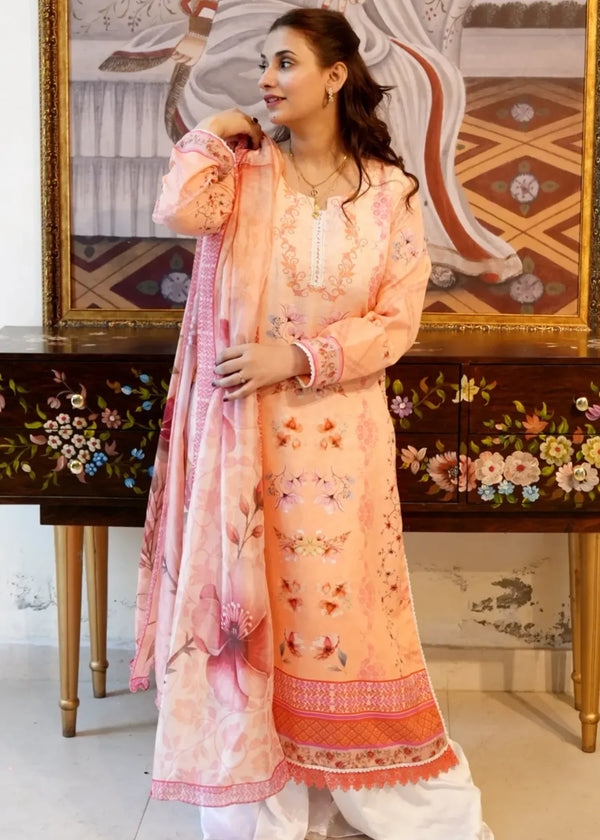 3 Piece Stitched Ladies Dress