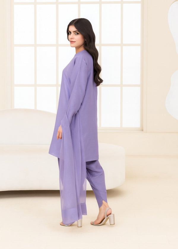 3 Piece Stitched Ladies Dress