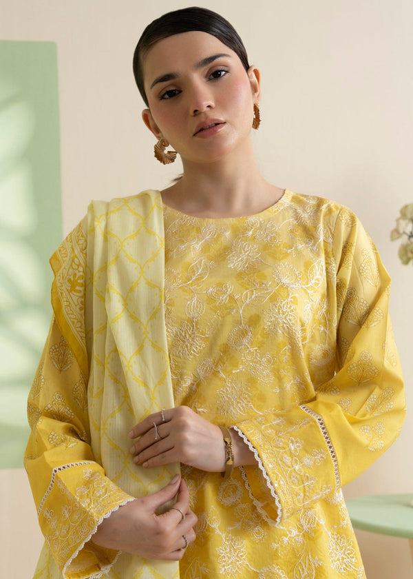 3 Piece Stitched Ladies Dress