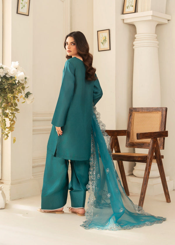 3 Piece Stitched Ladies Dress
