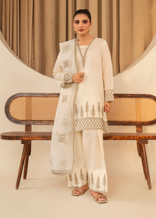 3 Piece Stitched Ladies Dress