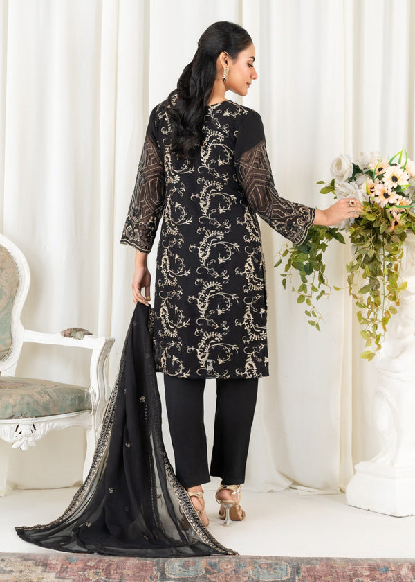 3 Piece Stitched Ladies Dress