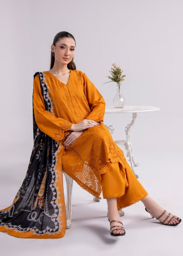 3 Piece Stitched Ladies Dress