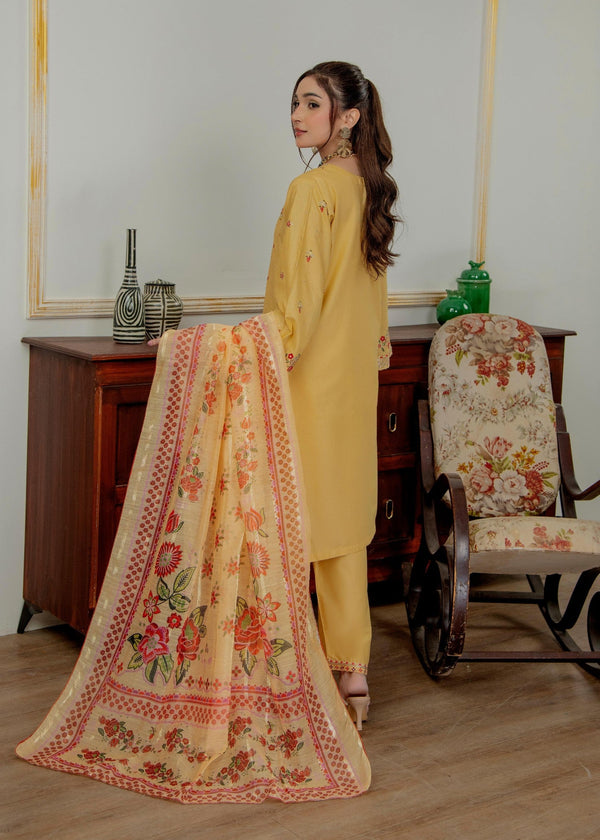 3 Piece Stitched Ladies Dress