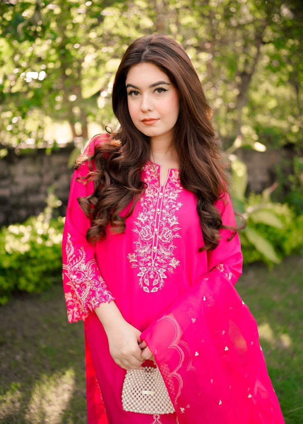 3 Piece Stitched Ladies Dress