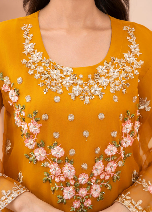 3 Piece Stitched Ladies Dress