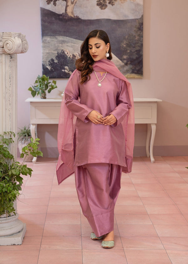 3 Piece Stitched Ladies Dress