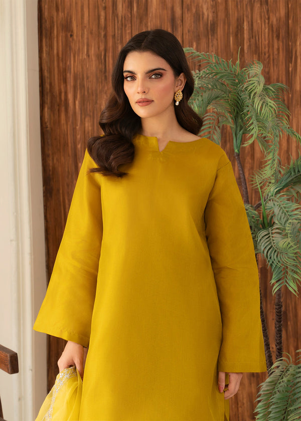 3 Piece Stitched Ladies Dress