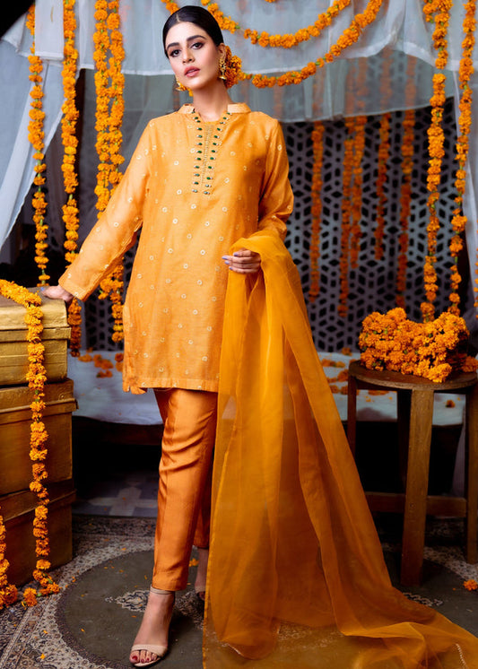 3 Piece Stitched Ladies Dress