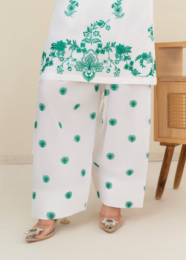 3 Piece Stitched Ladies Dress