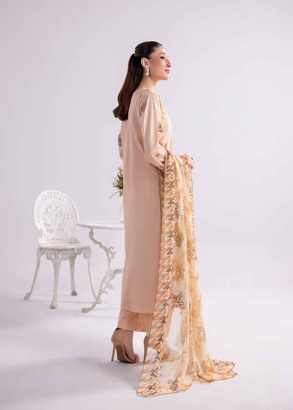 3 Piece Stitched Ladies Dress