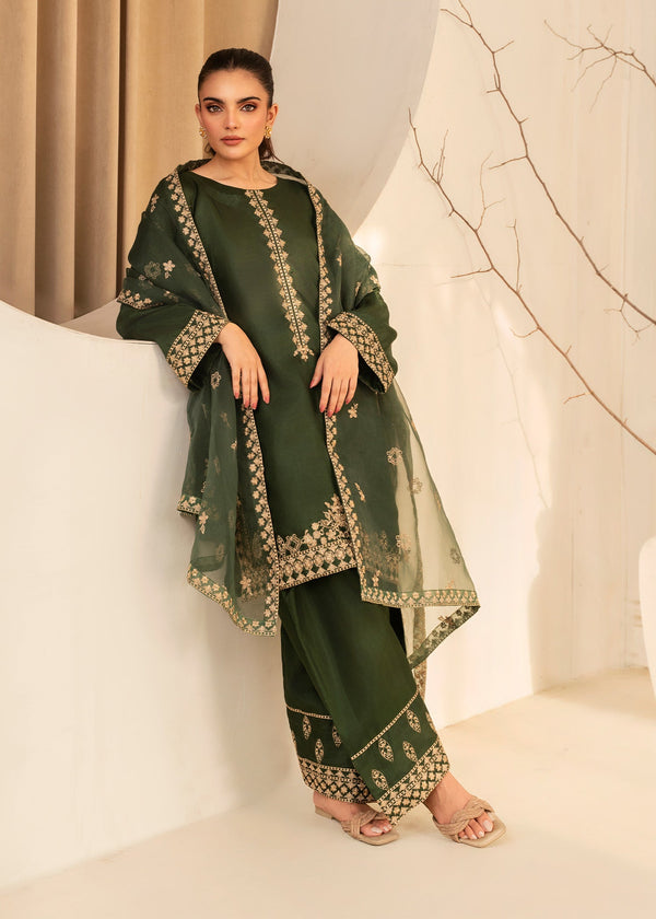 3 Piece Stitched Ladies Dress