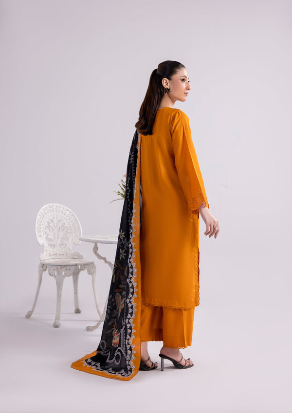 3 Piece Stitched Ladies Dress