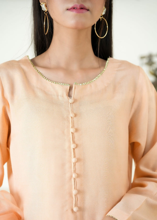 3 Piece Stitched Ladies Dress