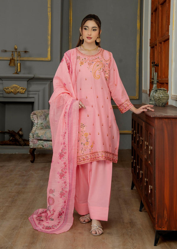 3 Piece Stitched Ladies Dress