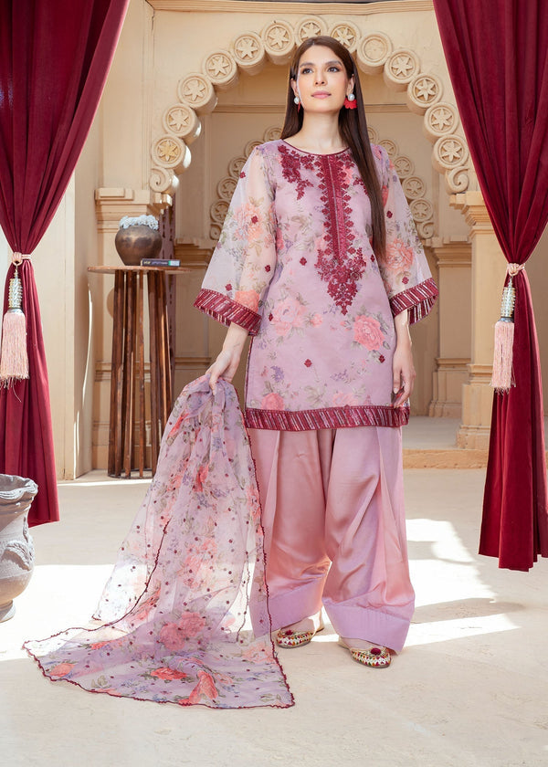 3 Piece Stitched Ladies Dress