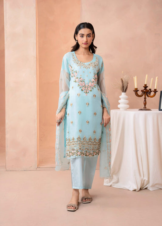 3 Piece Stitched Ladies Dress