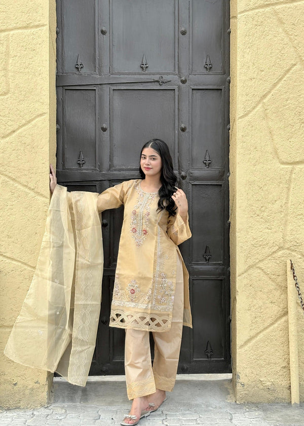 3 Piece Stitched Ladies Dress