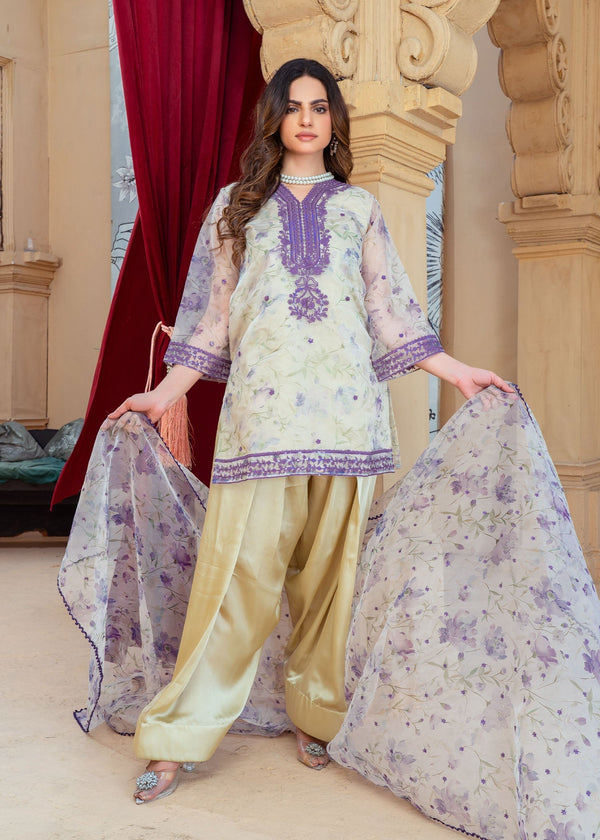 3 Piece Stitched Ladies Dress