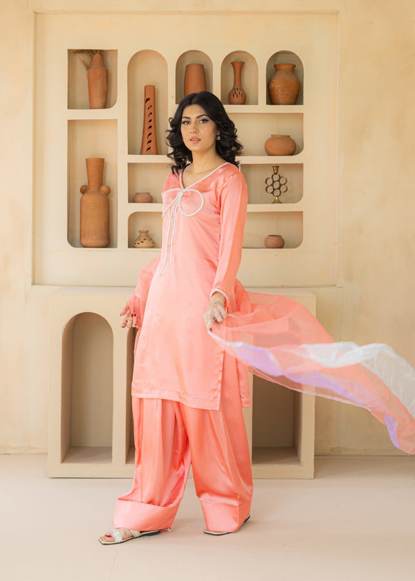 3 Piece Stitched Ladies Dress
