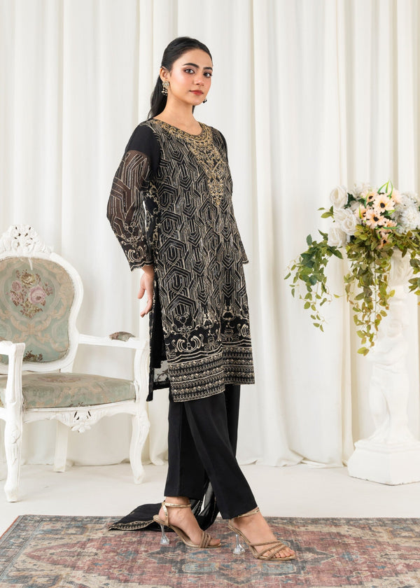 3 Piece Stitched Ladies Dress