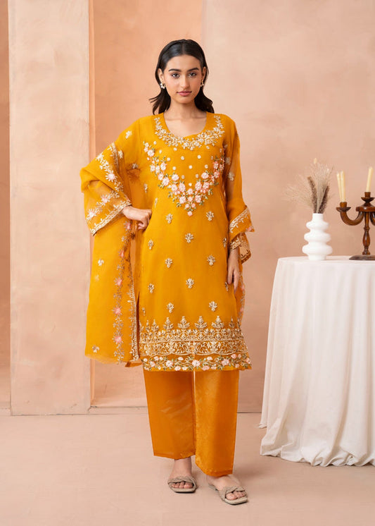 3 Piece Stitched Ladies Dress