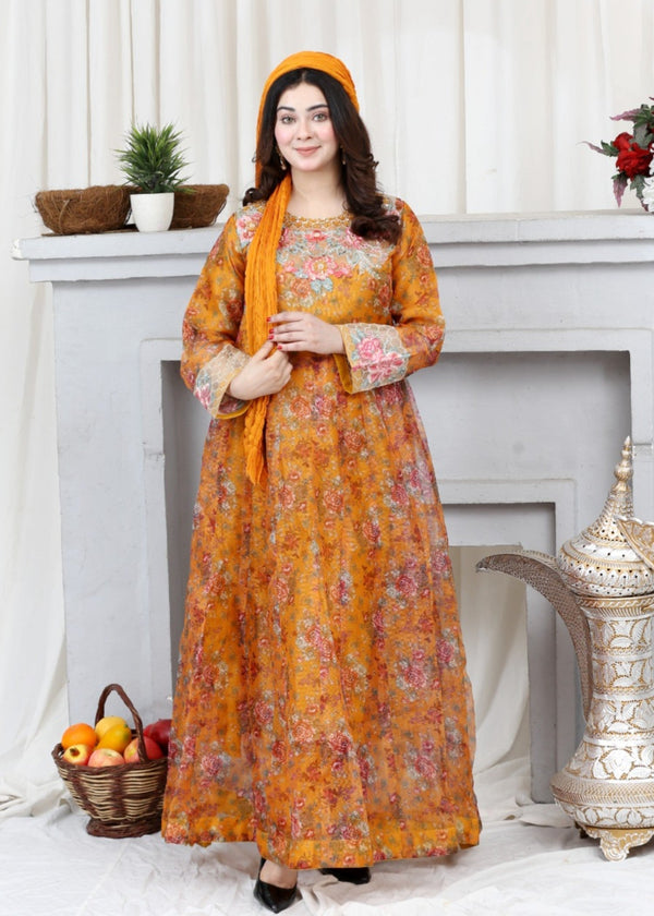 3 Piece Stitched Ladies Dress