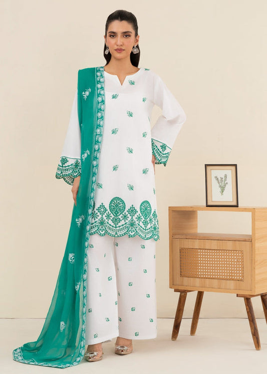 3 Piece Stitched Ladies Dress