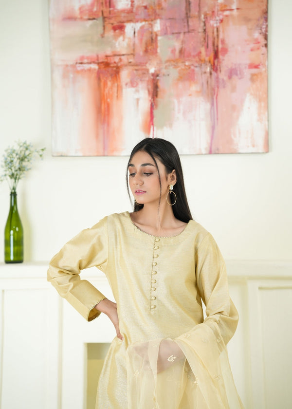 3 Piece Stitched Ladies Dress