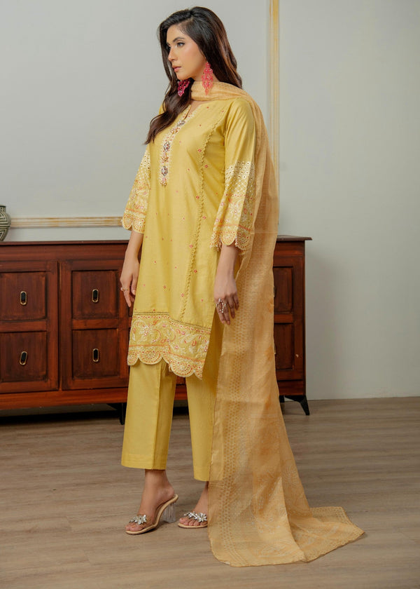3 Piece Stitched Ladies Dress