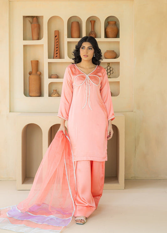 3 Piece Stitched Ladies Dress