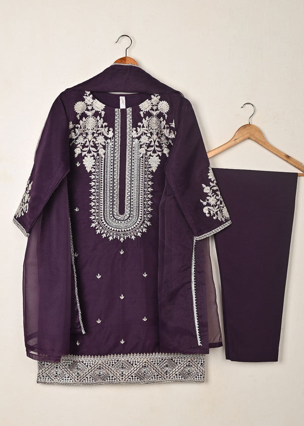 3 Piece Stitched Ladies Dress
