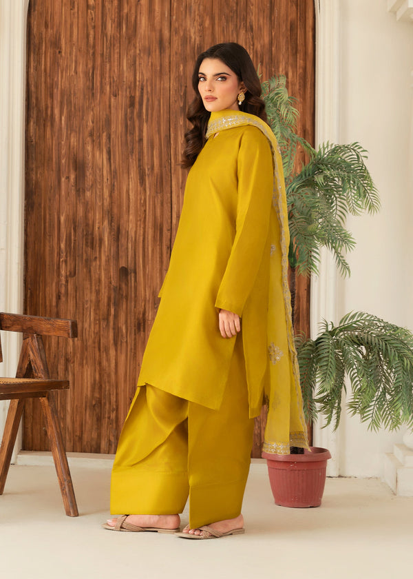 3 Piece Stitched Ladies Dress