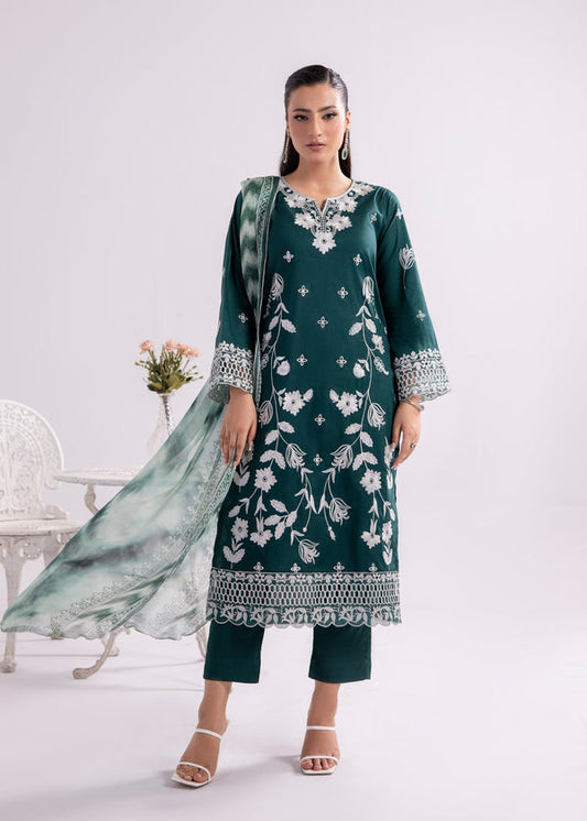 3 Piece Stitched Ladies Dress
