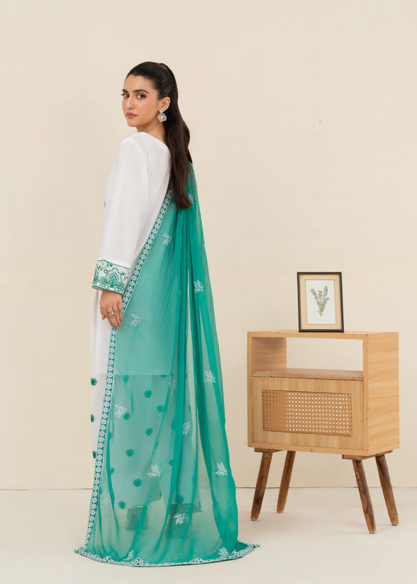 3 Piece Stitched Ladies Dress