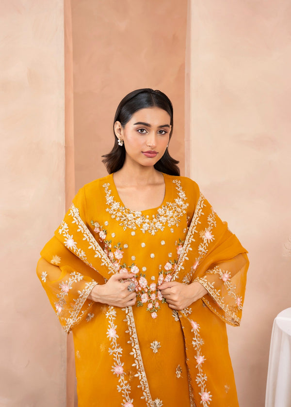 3 Piece Stitched Ladies Dress