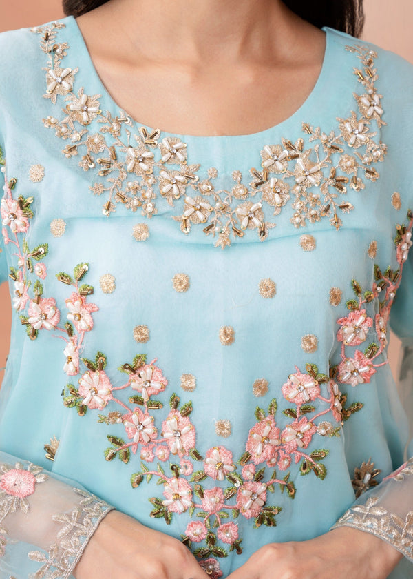 3 Piece Stitched Ladies Dress