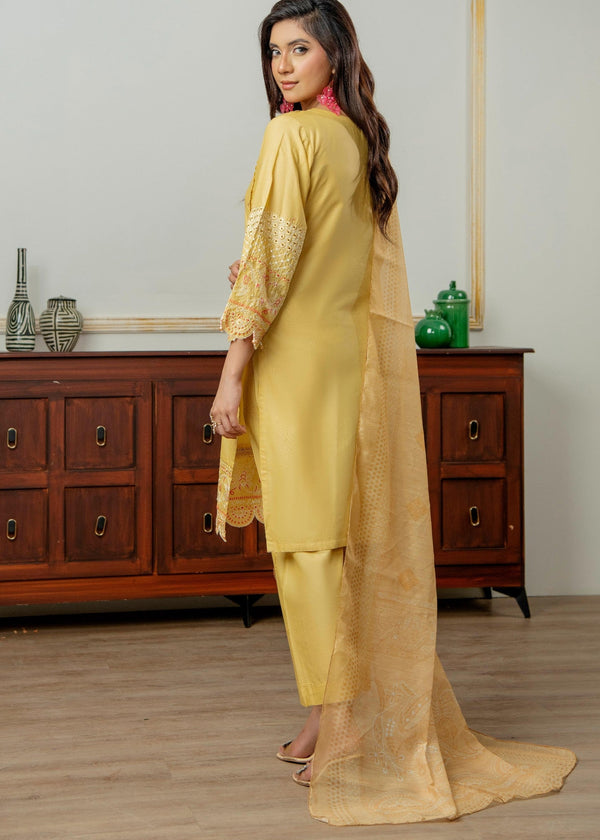 3 Piece Stitched Ladies Dress