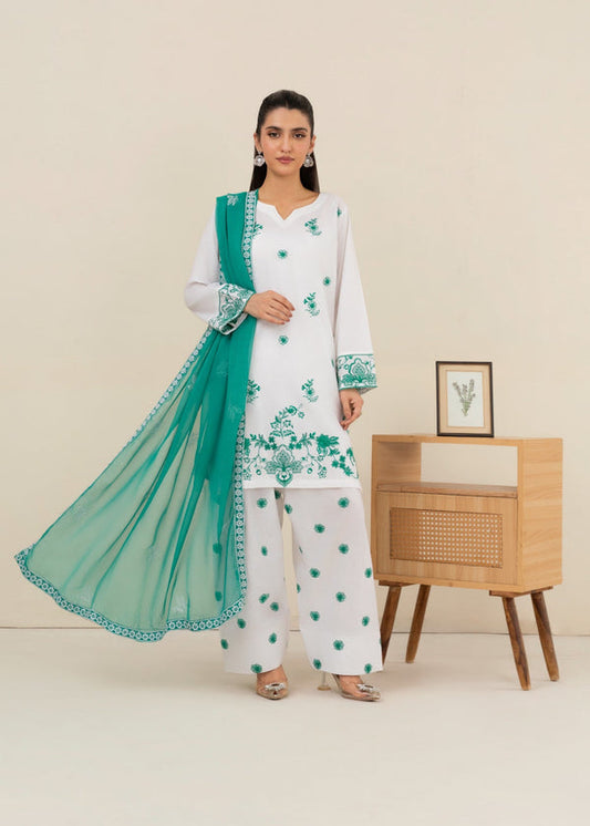3 Piece Stitched Ladies Dress