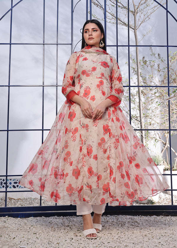 3 Piece Stitched Ladies Dress