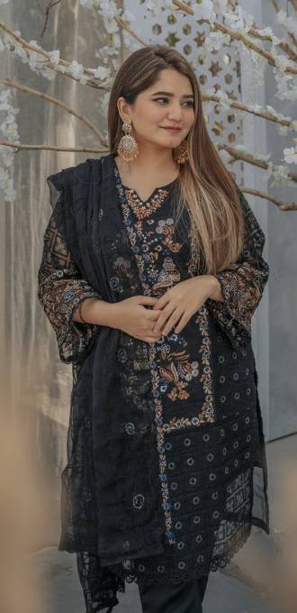 3 Piece Stitched Ladies Dress
