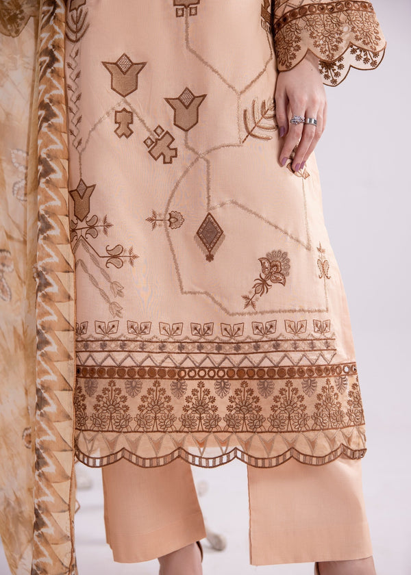 3 Piece Stitched Ladies Dress