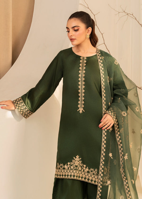 3 Piece Stitched Ladies Dress