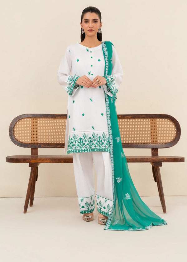 3 Piece Stitched Ladies Dress