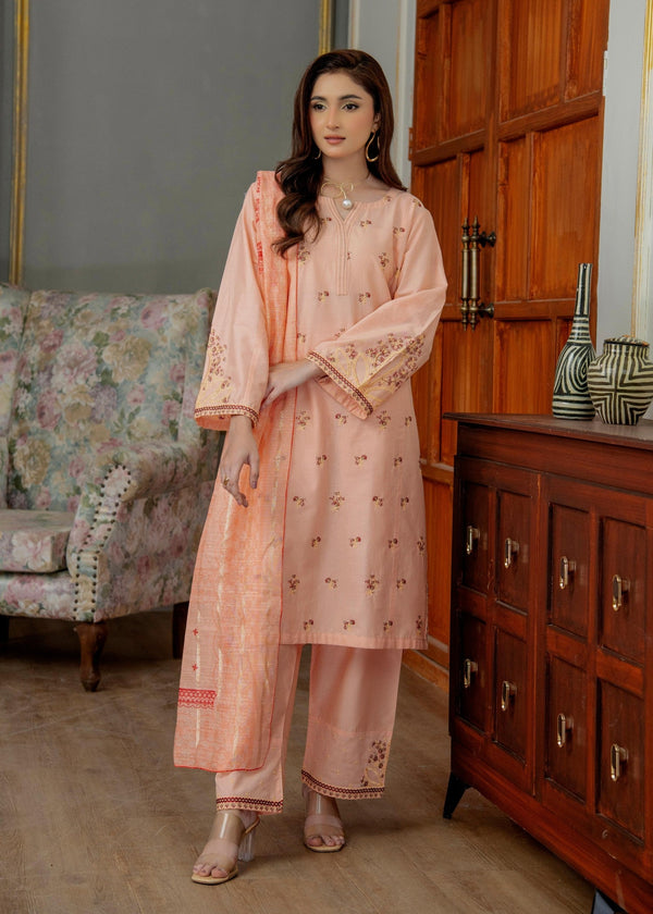 3 Piece Stitched Ladies Dress