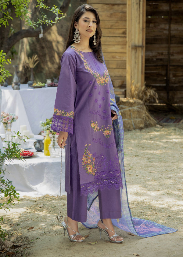 3 Piece Stitched Ladies Dress