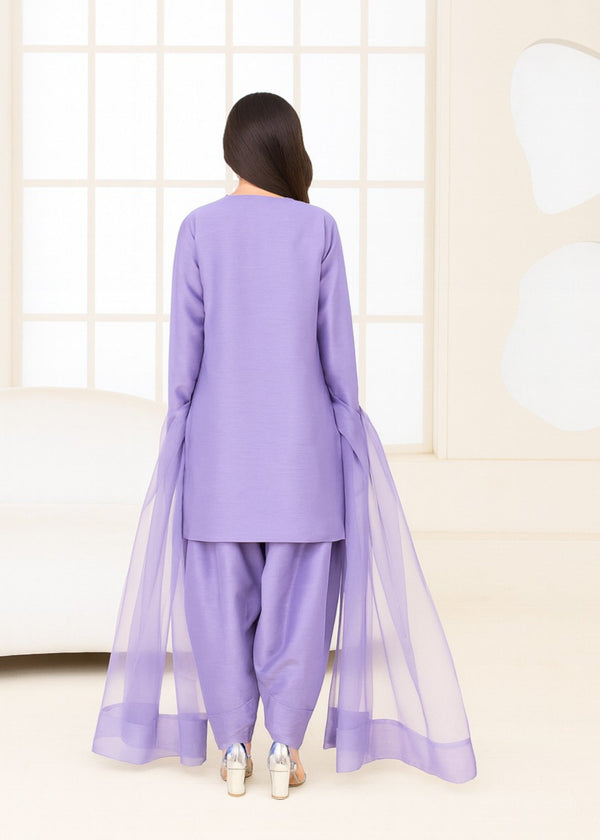 3 Piece Stitched Ladies Dress