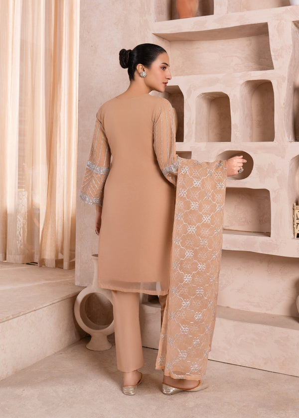 3 Piece Stitched Ladies Dress