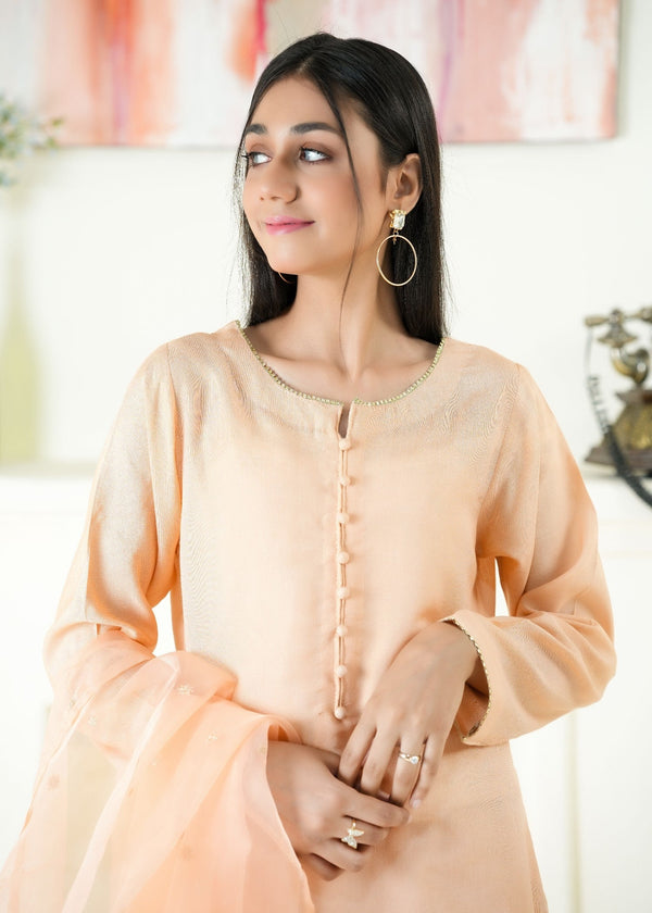 3 Piece Stitched Ladies Dress