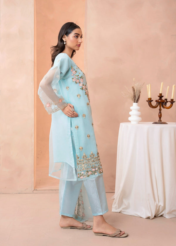 3 Piece Stitched Ladies Dress